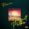 Roanin - Perfect Picture - Single